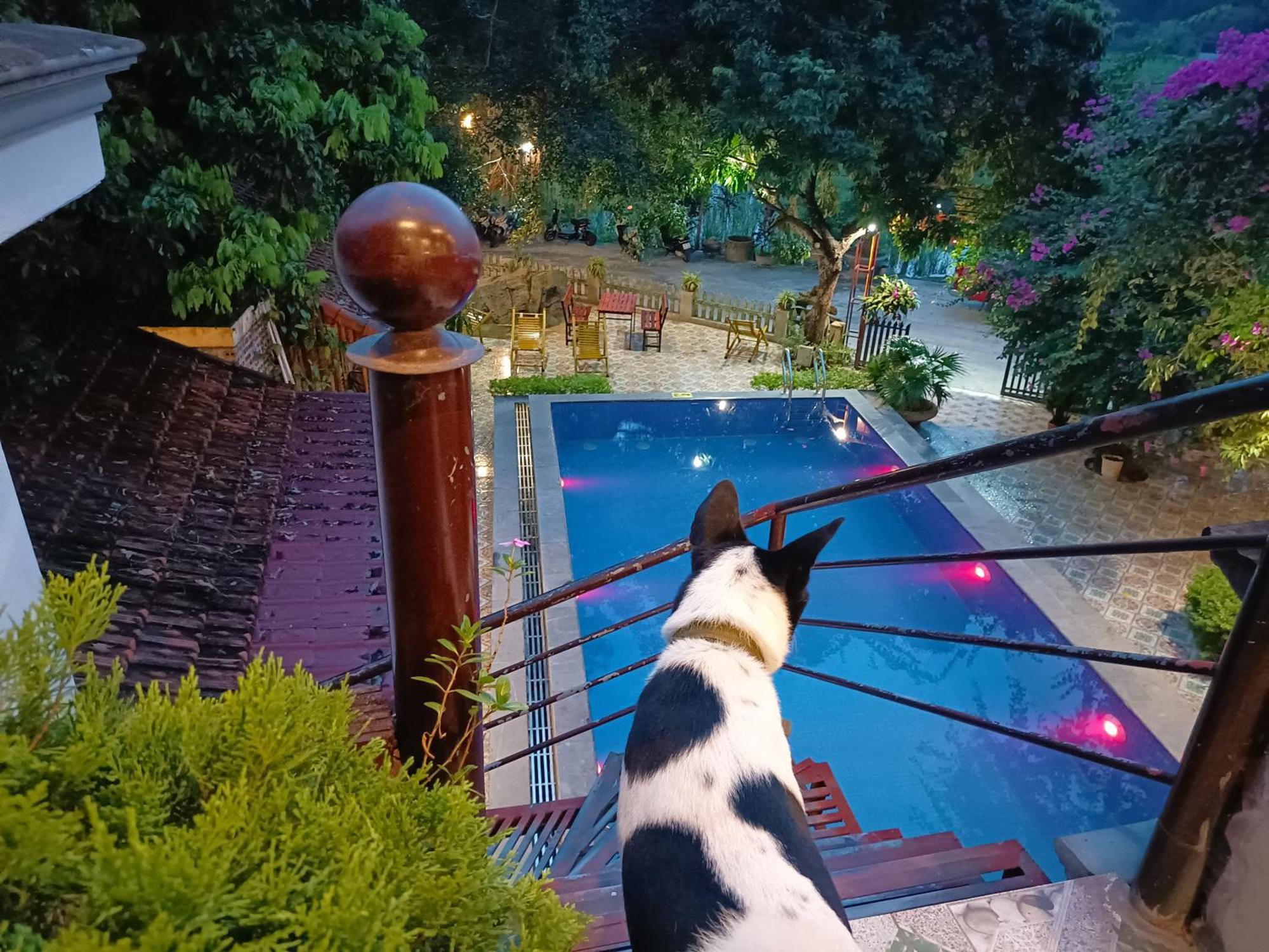 Tam Coc Sunshine Homestay Ninh Binh Exterior foto