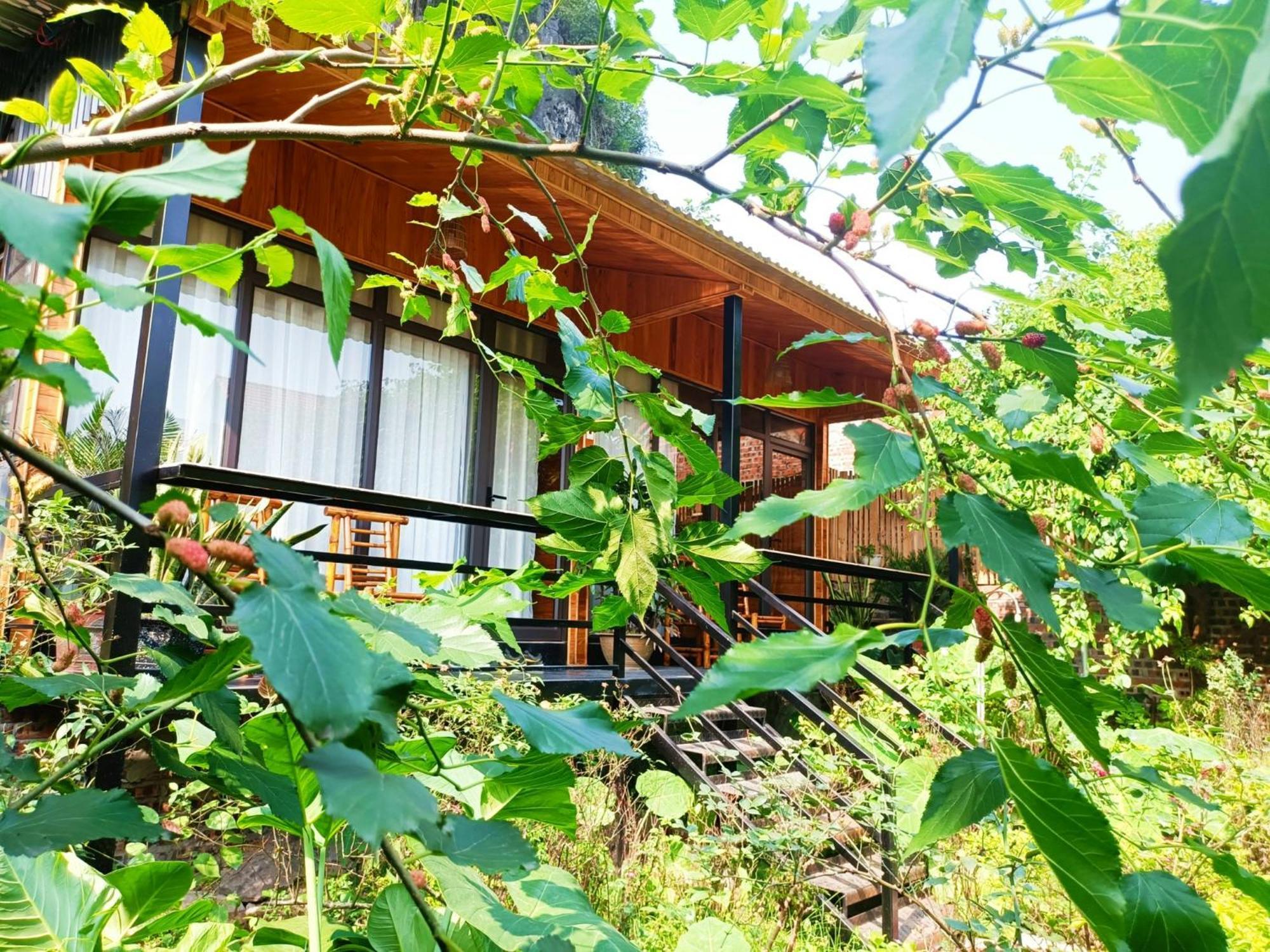 Tam Coc Sunshine Homestay Ninh Binh Exterior foto