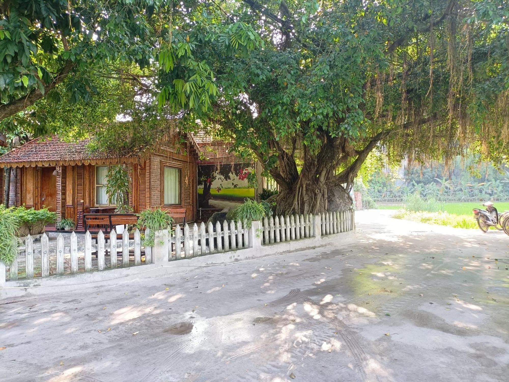 Tam Coc Sunshine Homestay Ninh Binh Exterior foto