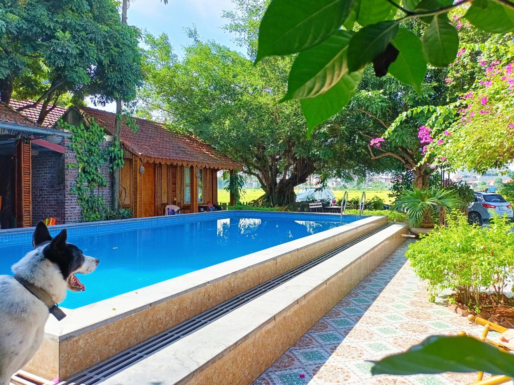 Tam Coc Sunshine Homestay Ninh Binh Exterior foto
