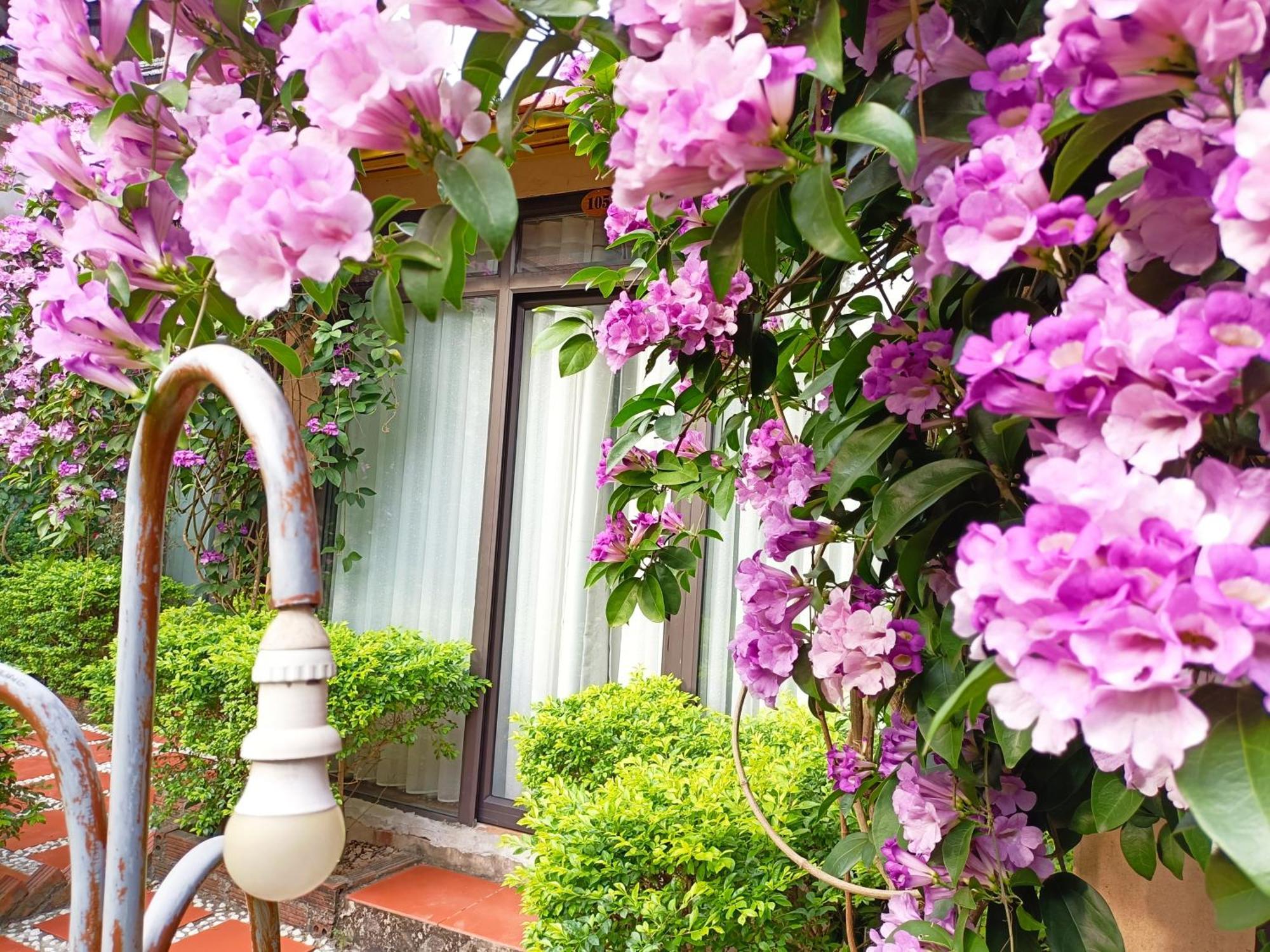 Tam Coc Sunshine Homestay Ninh Binh Exterior foto