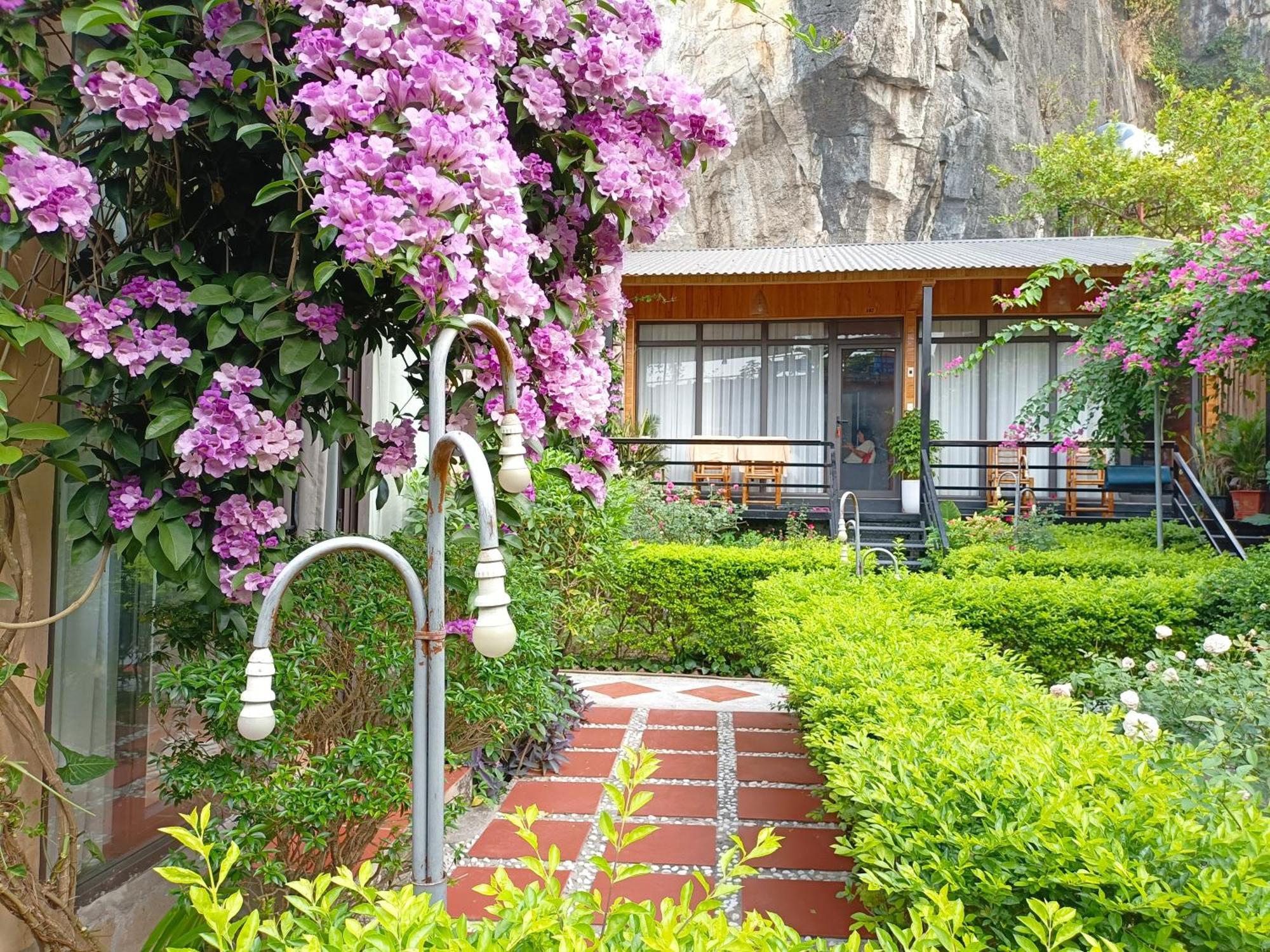 Tam Coc Sunshine Homestay Ninh Binh Exterior foto
