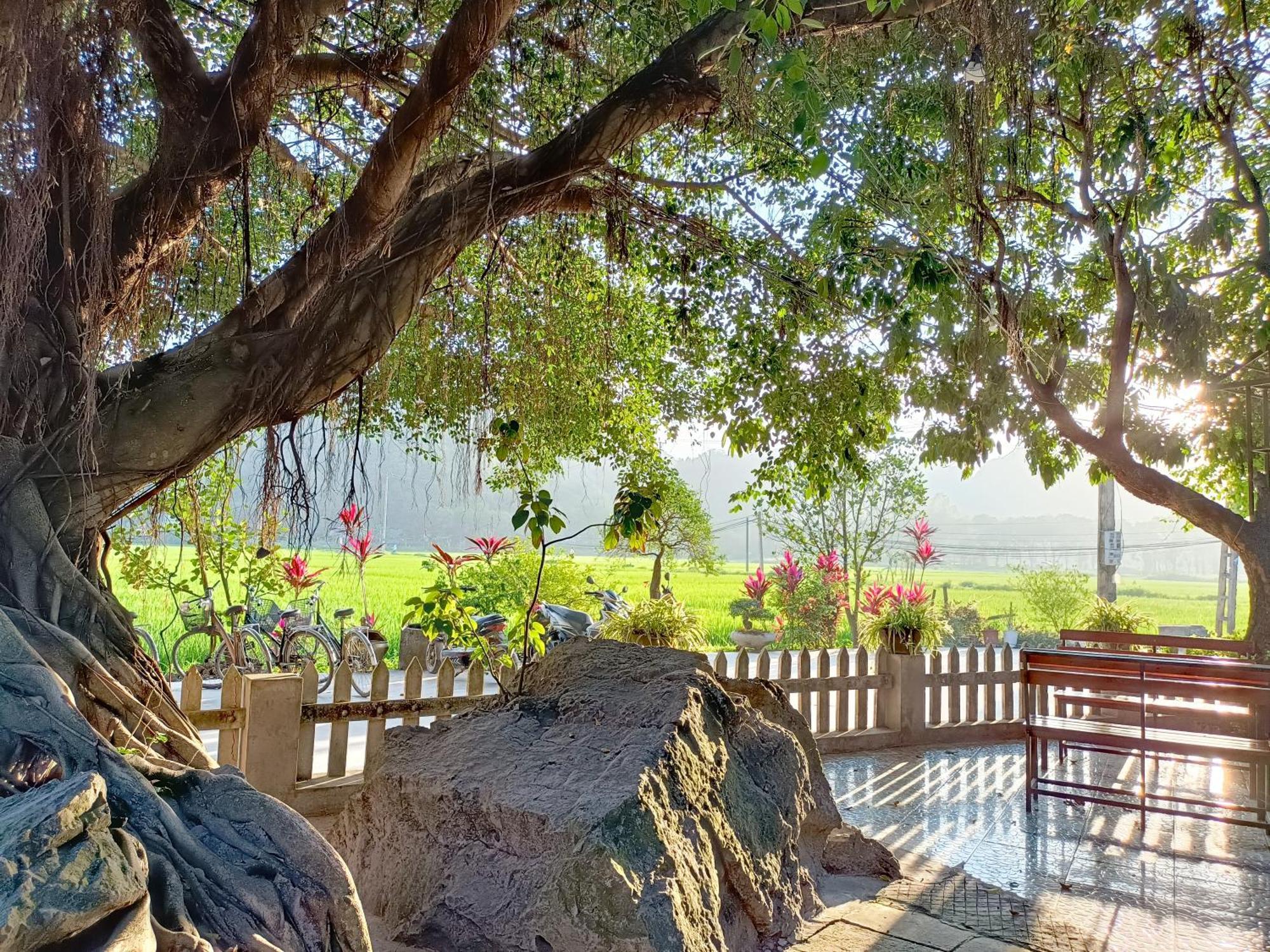 Tam Coc Sunshine Homestay Ninh Binh Exterior foto